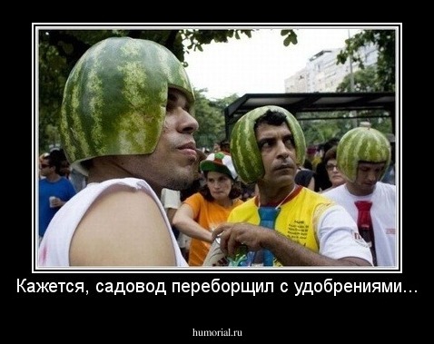 Кажется, садовод переборщил с удобрениями...