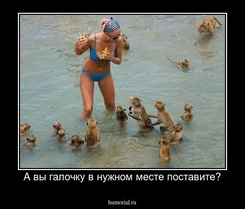 А вы галочку в нужном месте поставите?