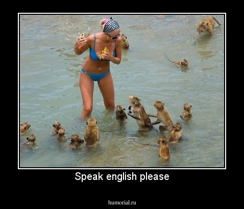 Speak english please