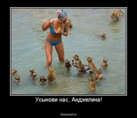 Усынови нас, Анджелина!