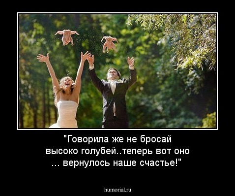 "Говорила же не бросай высоко голубей..теперь вот оно ... вернулось  наше счастье!"