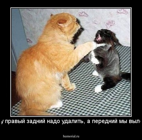 Так, ну правый задний надо удалить, а передний мы вылечим...