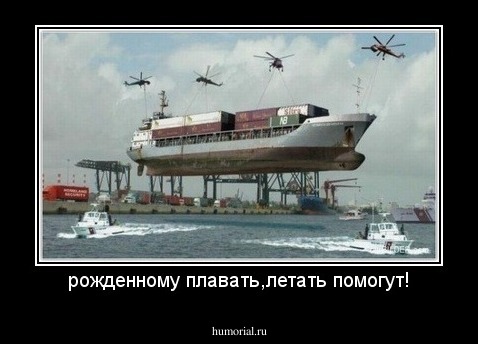 рожденному плавать,летать помогут!
