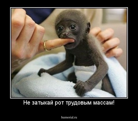 Не затыкай рот трудовым массам!