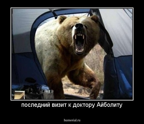 последний визит к доктору Айболиту