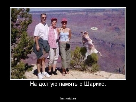 На долгую память о Шарике.