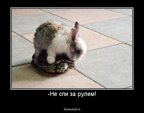 -Не спи за рулем!