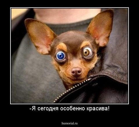 -Я сегодня особенно красива!