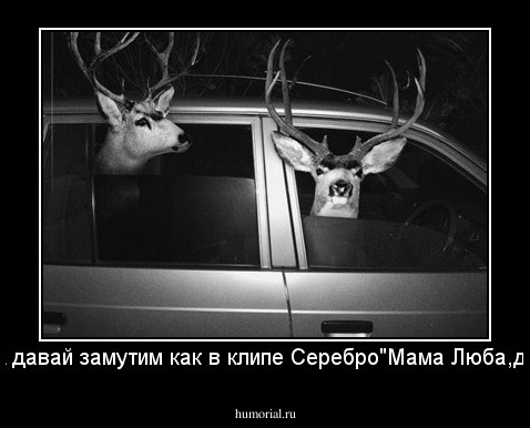 -Олеж, а давай замутим как в клипе Серебро"Мама Люба,давай"?!  