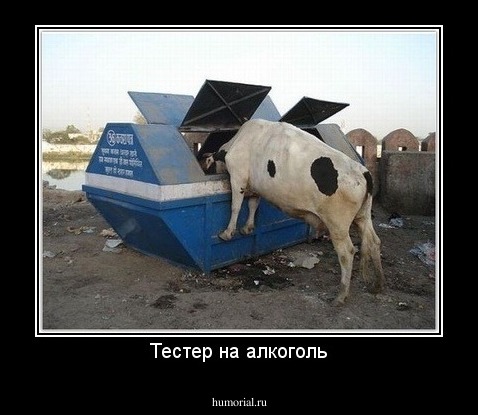 Тестер на алкоголь