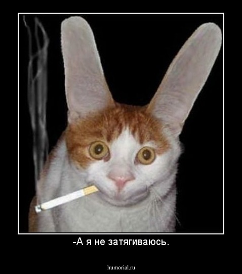 -А я не затягиваюсь.