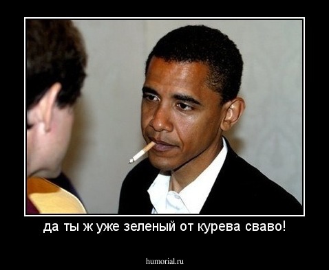 да ты ж уже зеленый от курева сваво!