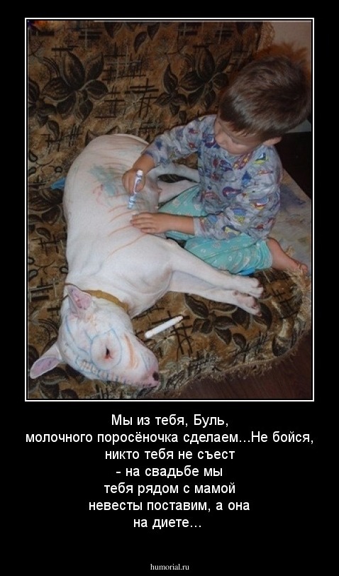 Мы из тебя, Буль, молочного поросёночка сделаем...Не бойся, никто  тебя не съест -  на свадьбе мы тебя рядом с мамой невесты поставим, а она на диете...
