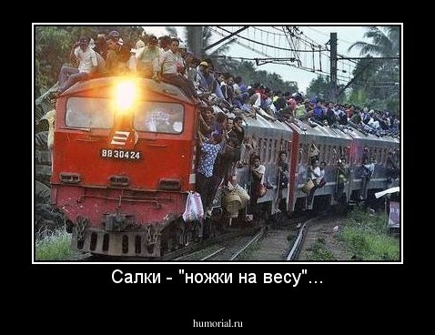 Салки - "ножки на весу"...