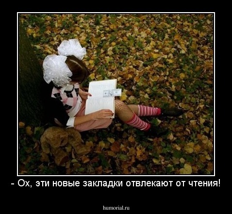 - Ох, эти новые закладки отвлекают от чтения!