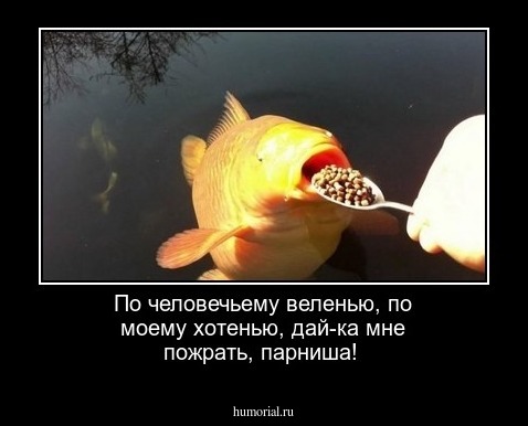По человечьему веленью, по моему хотенью, дай-ка мне пожрать, парниша!