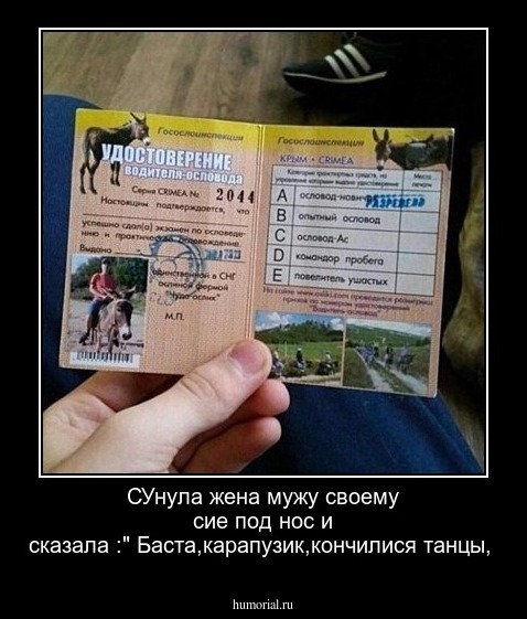 СУнула жена мужу своему сие под нос и сказала :" Баста,карапузик,кончилися танцы,