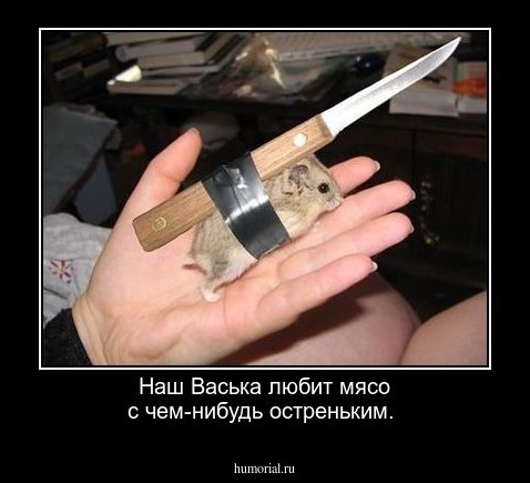 Наш Васька любит мясо с чем-нибудь остреньким.