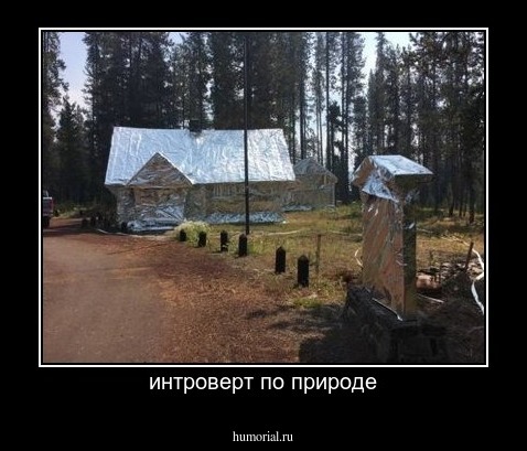 интроверт по природе
