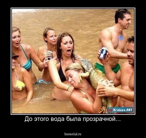 До этого вода была прозрачной...