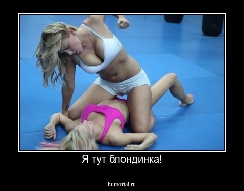 Я тут блондинка!