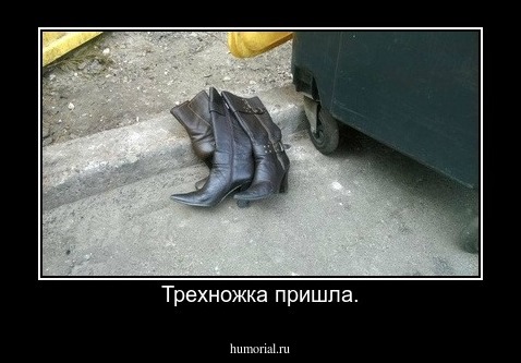 Трехножка пришла.