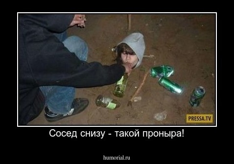 Сосед снизу - такой проныра!