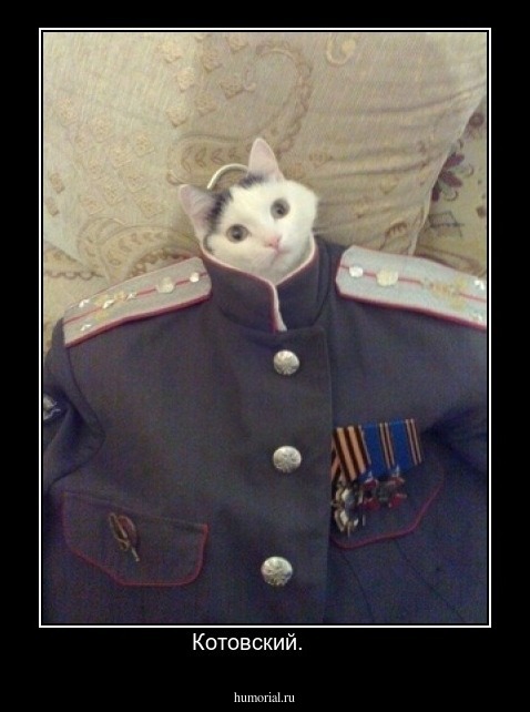Котовский.     