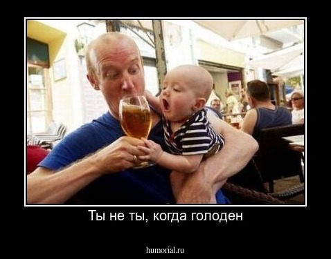Ты не ты, когда голоден