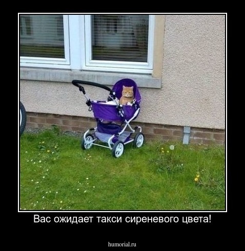 Вас ожидает такси сиреневого цвета!