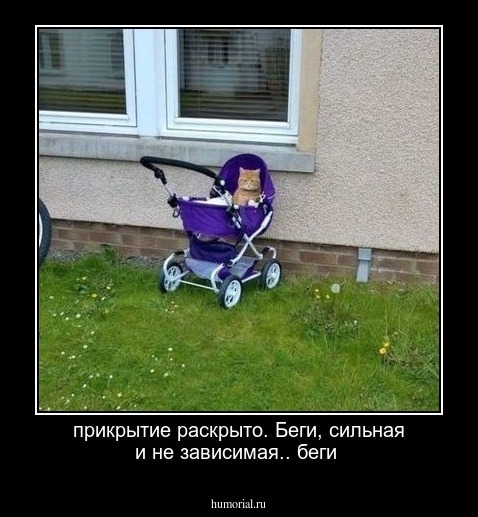 прикрытие раскрыто. Беги, сильная и не зависимая.. беги