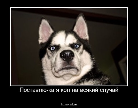Поставлю-ка я кол на всякий случай