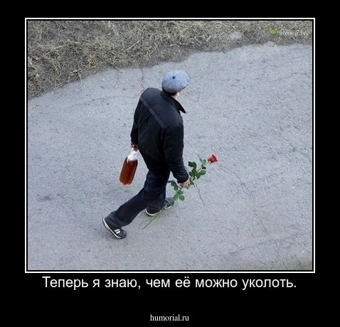 Теперь я знаю, чем её можно уколоть.