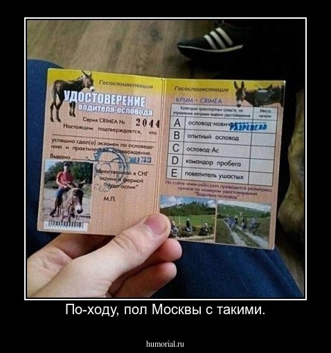 По-ходу, пол Москвы с такими.