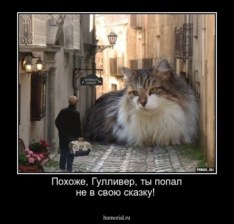Похоже, Гулливер, ты попал не в свою сказку!