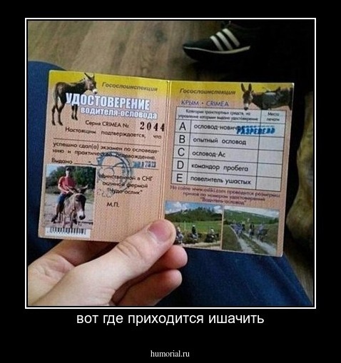 вот где приходится ишачить