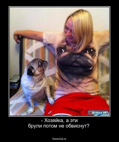 - Хозяйка, а эти брули потом не обвиснут?