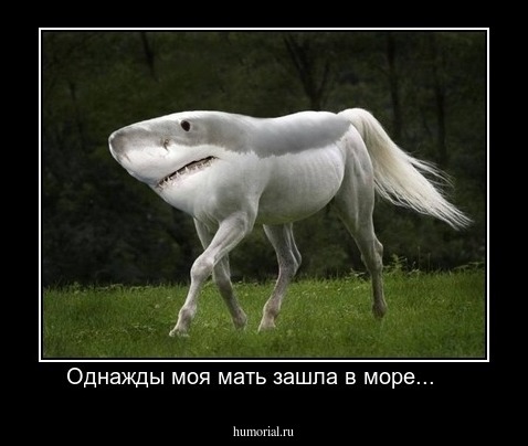 Однажды моя мать зашла в море...    