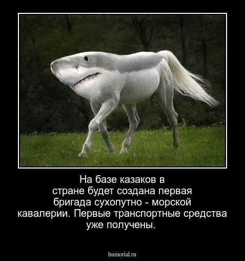 На базе казаков в стране будет создана первая бригада сухопутно - морской кавалерии. Первые транспортные средства уже получены.
