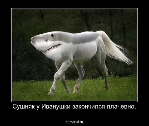Сушняк у Иванушки закончился плачевно.