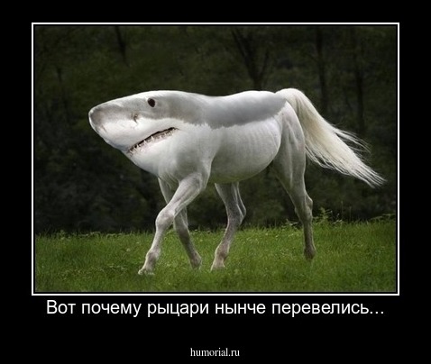 Вот почему рыцари нынче перевелись...