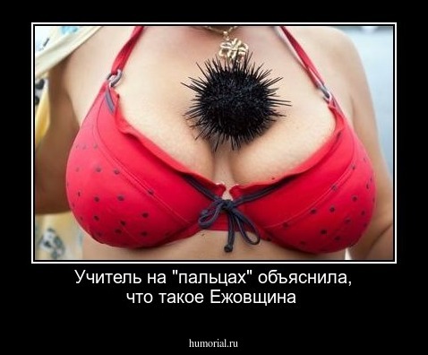 Учитель на "пальцах" объяснила, что такое Ежовщина