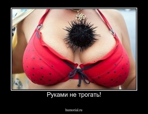 Руками не трогать!