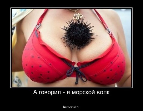 А говорил - я морской волк