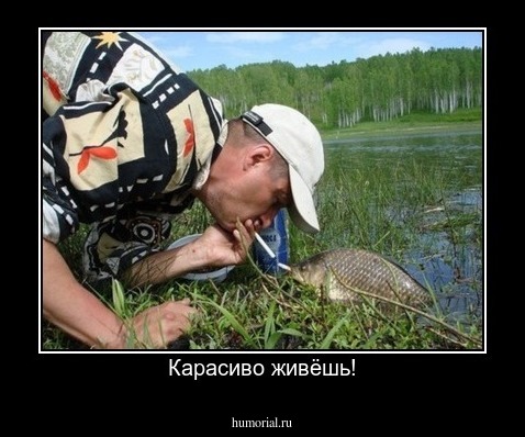 Карасиво живёшь!