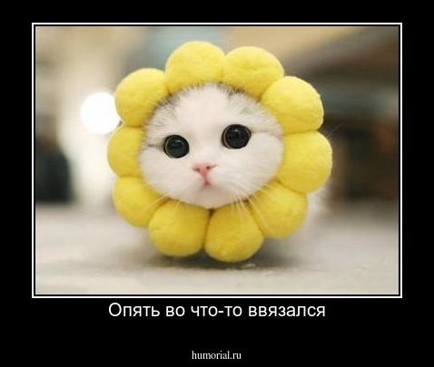 Опять во что-то ввязался