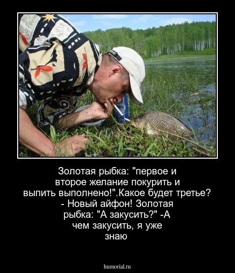 Золотая рыбка: "первое и второе желание  покурить и   выпить выполнено!".Какое  будет   третье? - Новый  айфон! Золотая рыбка: "А закусить?" -А  чем закусить, я  уже знаю