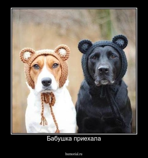 Бабушка приехала