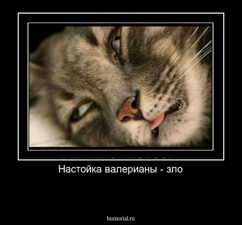 Настойка валерианы - зло

