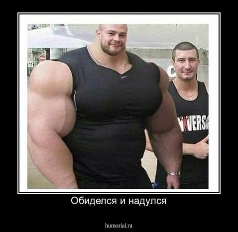 Обиделся и надулся